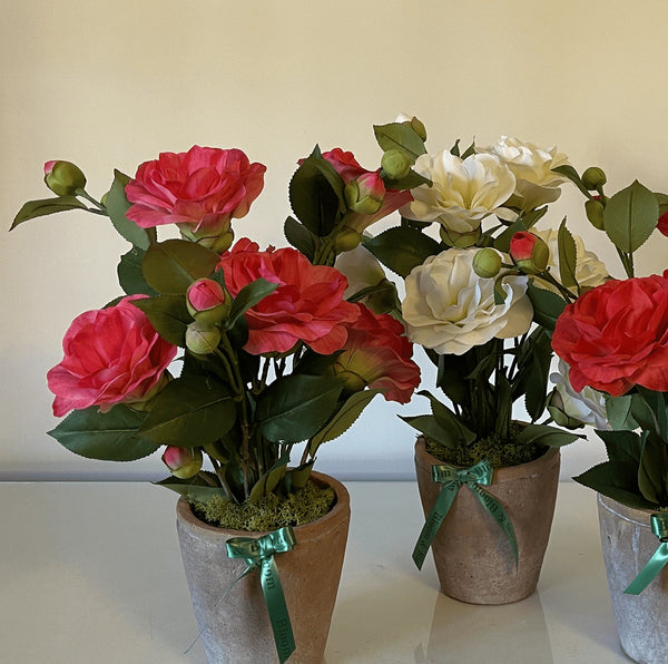 arrangement