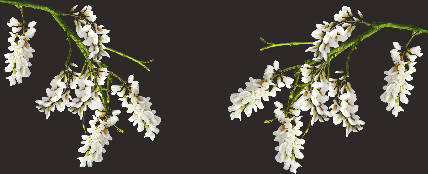Floral design, reimagined.